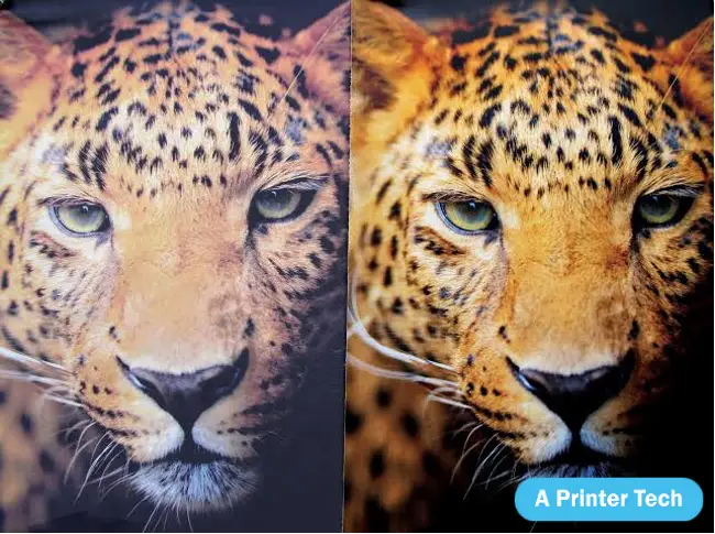 Printing quality between sublimation and inject printer by aprintertech.com